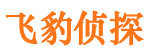 镇原市调查公司